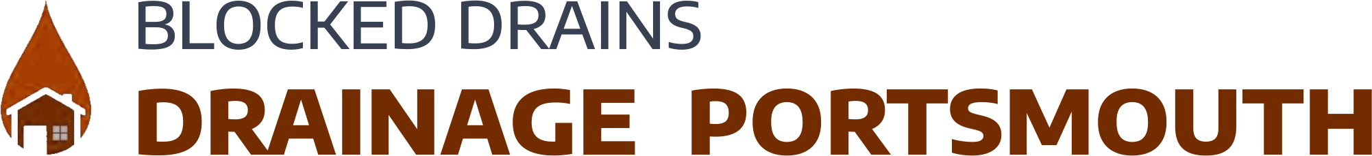 website logo